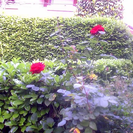 Fuoco&aria *